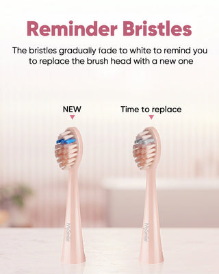 DY156 Essential Sonic Toothbrush